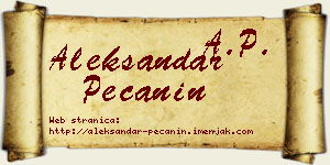 Aleksandar Pečanin vizit kartica